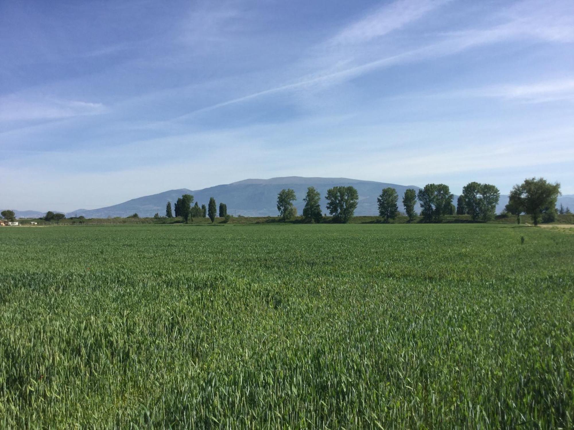 Vila Casale Morotti Bevagna Exteriér fotografie